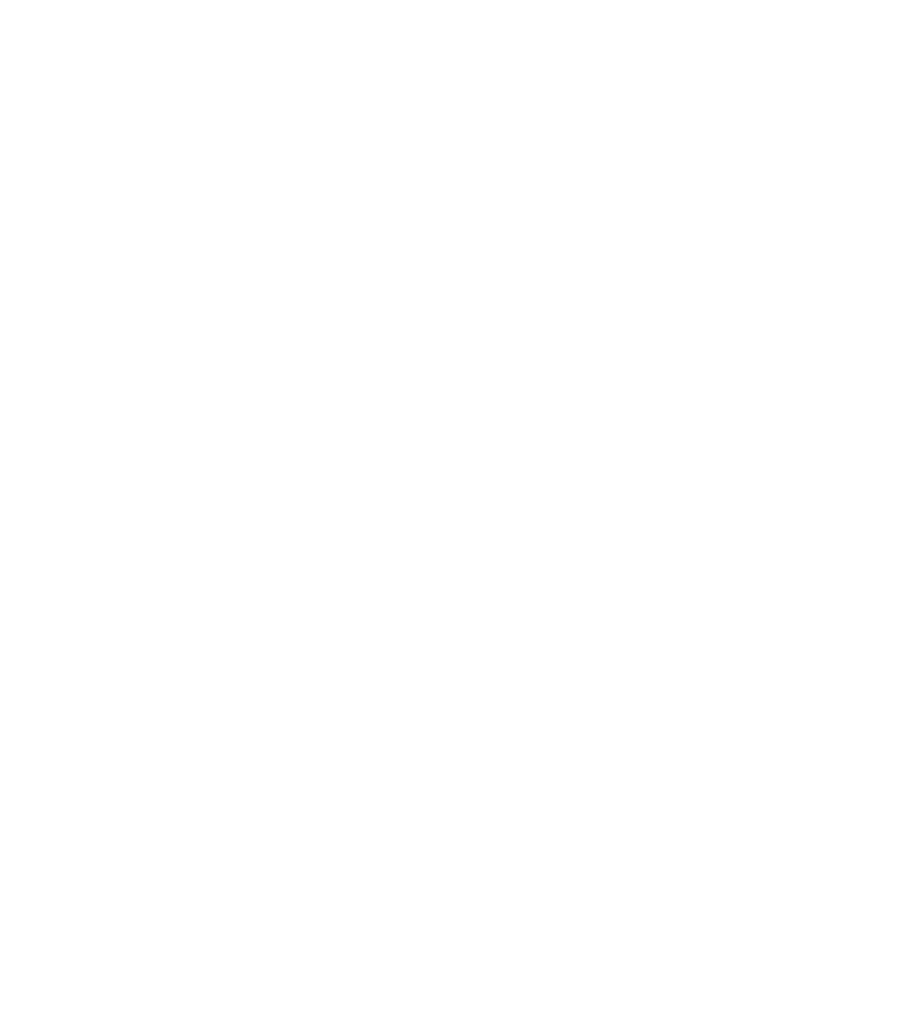 ADMIRIS Logo